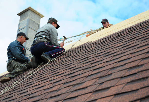 Best New Roof Installation  in Cannon Beach, OR